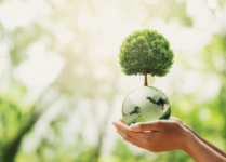 WinBin soutient la journée de la Terre
