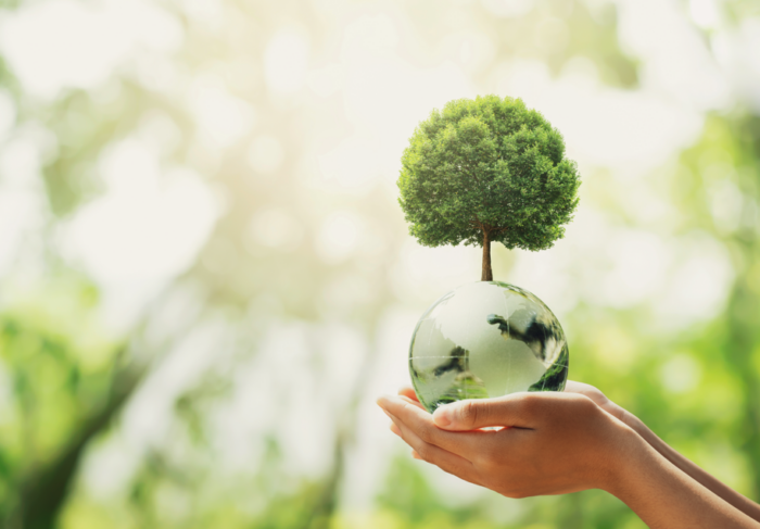 Image actu : Journée de la Terre