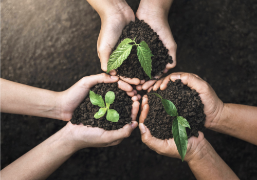 Journée mondiale de l'environnement